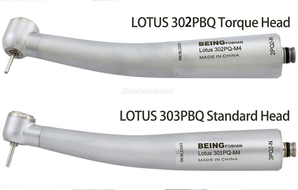 BEING Lotus 302/303PQ High Speed Handpiece NSK Phatelus Coupling 4 Hole